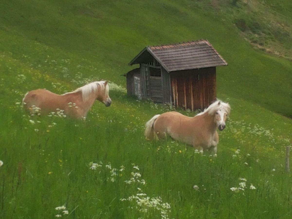 Apart.Pitztal Arzl im Pitztal Exterior photo